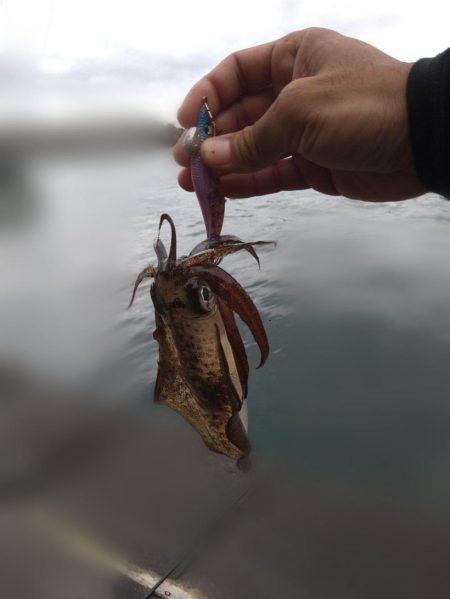 サイトエギング